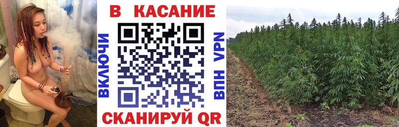 Сколько стоит Железноводск Канабис  Мефедрон  мега рабочий сайт  ГАШИШ  Героин  ТГК 
