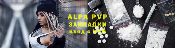 спиды Гусев