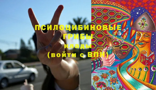 ПСИЛОЦИБИНОВЫЕ ГРИБЫ Гусиноозёрск