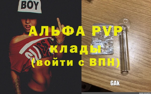 ПСИЛОЦИБИНОВЫЕ ГРИБЫ Гусиноозёрск
