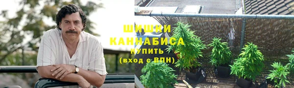 спиды Гусев