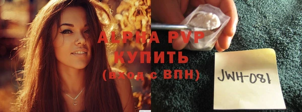спиды Гусев