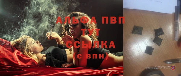 спиды Гусев