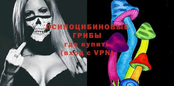 спиды Гусев
